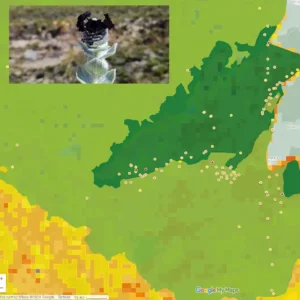 Pesquisadores encontram árvores em extinção no Brasil Monitoria do PAN Bacia do Alto Tocantins: estratégias avançam na conservação de espécies raras e ameaçadas de extinção no Cerrado