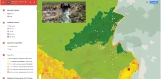 Monitoria do PAN Bacia do Alto Tocantins: estratégias avançam na conservação de espécies raras e ameaçadas de extinção no Cerrado