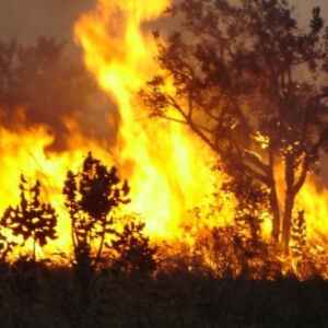 Sudoeste da Amazônia se torna a maior emissora global de gases do efeito estufa devido a queimadas Amazônia