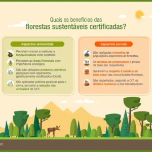 O Parque das Árvores Gigantes e o Plano de Manejo Sustentável na Amazônia Manejo florestal sustentável: essencial para preservar o futuro