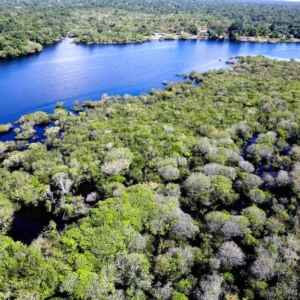 Governo Brasileiro Entra com Primeira Ação Judicial por Danos Climáticos na Amazônia: O que Isso Significa para o Futuro do Meio Ambiente? Governo exige R$ 635 milhões por danos ambientais na Amazônia causados por fazendeiros