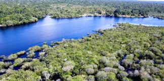 Governo exige R$ 635 milhões por danos ambientais na Amazônia causados por fazendeiros