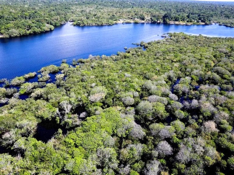 Governo exige R$ 635 milhões por danos ambientais na Amazônia causados por fazendeiros