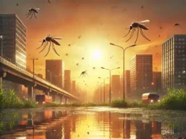 Saiba como as mudanças climáticas estão impulsionando o aumento de doenças transmitidas por mosquitos, como EEE e o vírus do Nilo Ocidental, nos EUA. Descubra as recomendações de especialistas para proteger a saúde pública