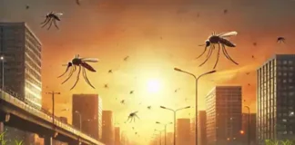 Saiba como as mudanças climáticas estão impulsionando o aumento de doenças transmitidas por mosquitos, como EEE e o vírus do Nilo Ocidental, nos EUA. Descubra as recomendações de especialistas para proteger a saúde pública