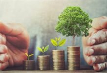 Serasa da Sustentabilidade: Banco Central Bloqueia R$ 726 Milhões em Crédito Rural para 2024 por Práticas Insustentáveis