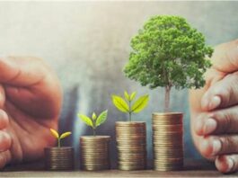 Serasa da Sustentabilidade: Banco Central Bloqueia R$ 726 Milhões em Crédito Rural para 2024 por Práticas Insustentáveis