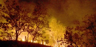 Queimadas continuam na Amazônia