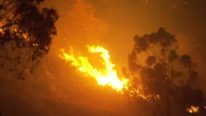 Queimadas-persistem-na-Amazonia-cidades-do-PA-superam-1-mil-focos-300x169 Queimadas em pastagens ficam fora da conta climática do Brasil
