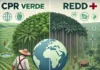 Crédito de Produtor Rural Verde (CPR Verde) e REDD+: Dois Caminhos para a Sustentabilidade e a Preservação Ambiental Saiba como o CPR Verde e o REDD+ incentivam a sustentabilidade e a preservação ambiental de maneiras distintas.
