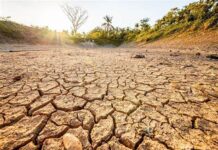 Seca na Região Sul: quais padrões climáticos associados