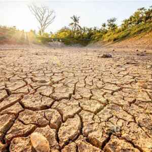 Brasil enfrenta a pior seca da história recente: causas, impactos e soluções para o futuro Seca na Região Sul: quais padrões climáticos associados