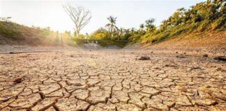 Seca na Região Sul: quais padrões climáticos associados