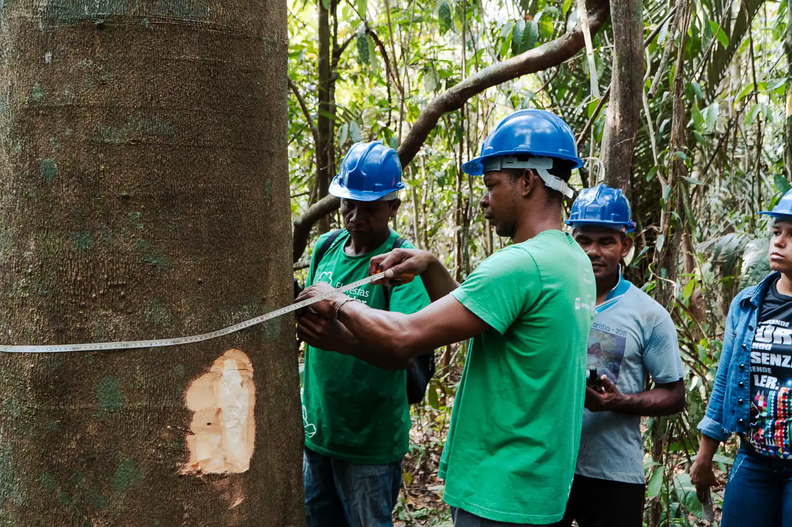 Manejo Florestal Sustentável Impulsiona Renda em Comunidades Tradicionais de Oriximiná (PA)