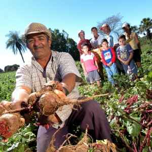 COP30 vai movimentar R$ 3,3 milhões na agricultura familiar