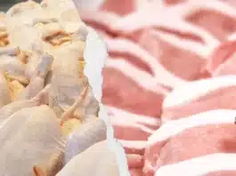 carne suína, carne de frango