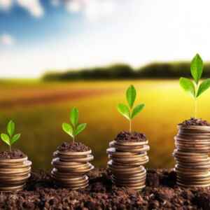 ‘Birô verde’ do BC vetou R$ 726 milhões em crédito rural em 2024 crédito rural em 2024