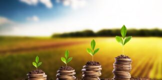 crédito rural em 2024