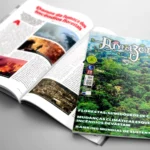 Revista Amazônia de Setembro 2024: A Urgência Climática e a Luta pela Preservação da Floresta Amazônica