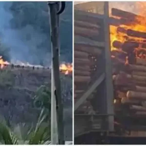 Incêndio em Trem da Vale Atinge Oito Vagões em Minas Gerais Vagões de trem em chamas, com equipes de bombeiros trabalhando no combate ao incêndio, em meio à vegetação de Minas Gerais