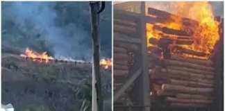 Vagões de trem em chamas, com equipes de bombeiros trabalhando no combate ao incêndio, em meio à vegetação de Minas Gerais