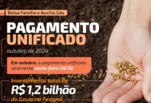 MDS unifica pagamento do Bolsa Família e Auxílio Gás em municípios afetados por desastres climáticos