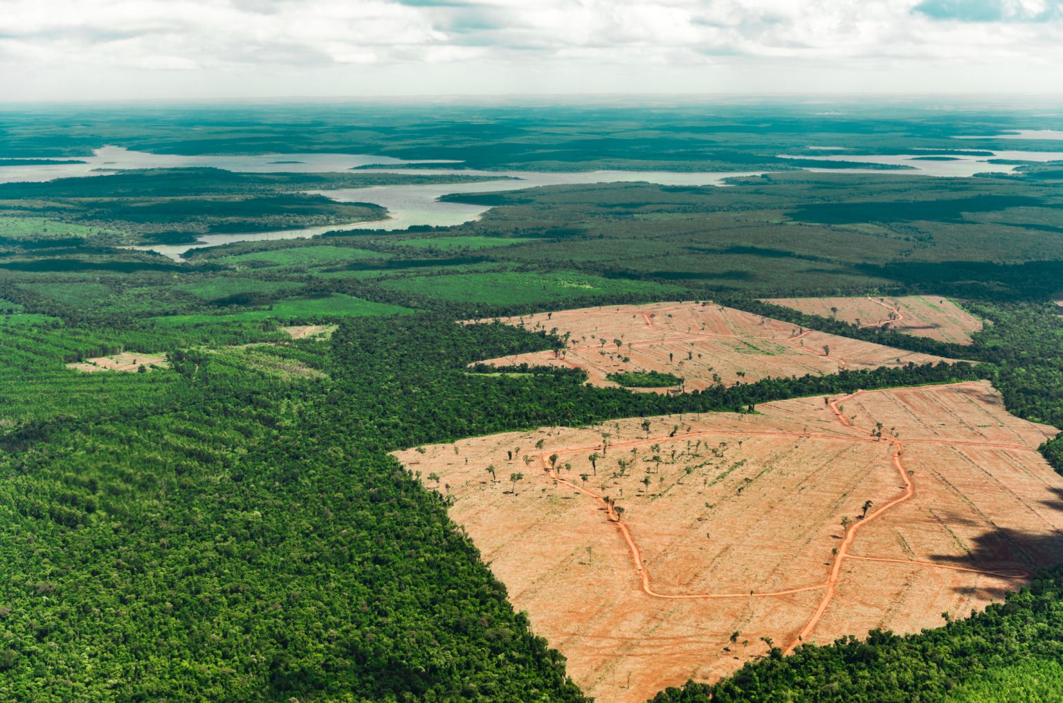 Brasil reduz desmatamento na Amazônia em 50% e propõe fundo global para preservação das florestas