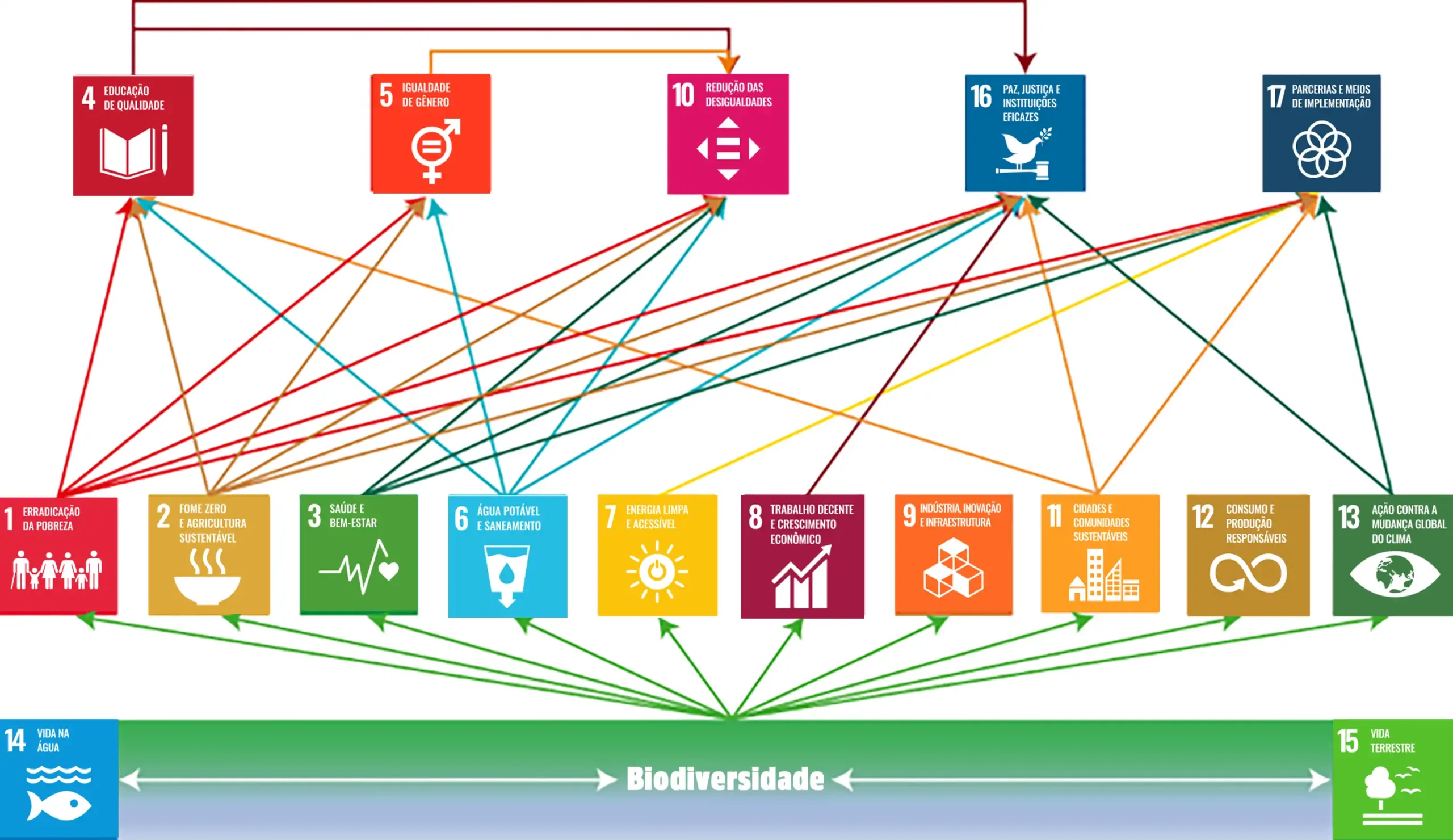 A-biodiversidade-pode-apoiar-o-desenvolvimento-sustentavel.-Ela-usa-os-Objetivos-de--scaled Falhas em políticas de conservação da biodiversidade