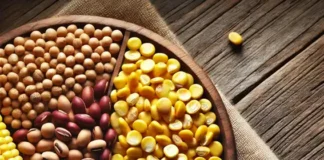 Os 100 Municípios Mais Produtivos da Agricultura Brasileira