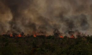 Captura de tela 2024 10 02 103936