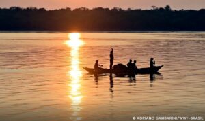 Captura de tela 2024 10 04 184214