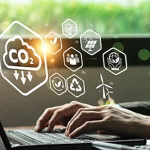 Fiagros ganham aval para investir em créditos de carbono no agronegócio créditos