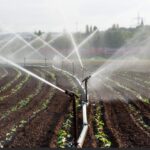 irrigação