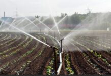 Crise climática coloca irrigação em foco no Plano Safra 2024/25 irrigação