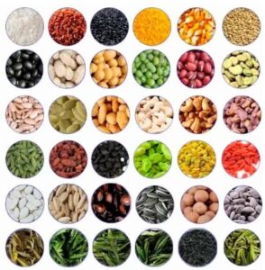 Captura de tela 2024 10 08 180345