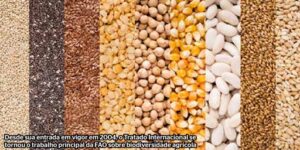 Captura-de-tela-2024-10-08-180552-300x150 Recursos fitogenéticos para alimentação e agricultura