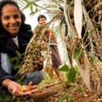 Agricultura familiar: Base para a segurança alimentar e sustentabilidade no Brasil agricultura