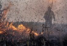 Governo Lula destina R$ 938 milhões para enfrentar crise climática climática