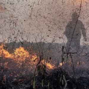 Governo Lula destina R$ 938 milhões para enfrentar crise climática climática