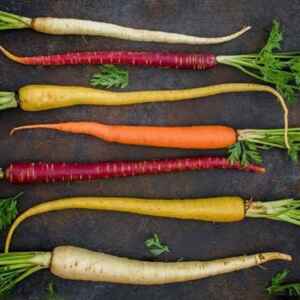 Recursos fitogenéticos para alimentação e agricultura recursos