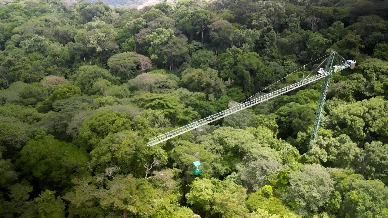 Cientistas descobriram que perturbações florestais como incêndios, vento e extração seletiva de madeira estão desencadeando a maior perda de carbono de ecossistemas em risco, como florestas tropicais. Esta foto mostra uma floresta semelhante em estudo no Panamá