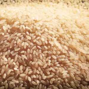 Lula lança programa de R$ 1 bilhão para impulsionar a produção e compra de arroz no Brasil Programa deve fomentar produção de arroz por pequenos e médios agricultores