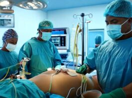 Segurança dos transplantes é confirmada por especialistas