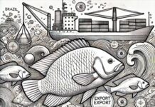 A expansão do mercado de pescado brasileiro para os EUA: Oportunidades e desafios de uma nova era de exportações mercado