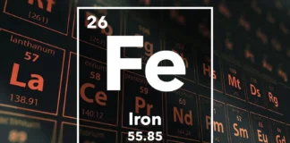 O ferro desempenha um papel fundamental na vida na Terra desde os primeiros dias dos organismos unicelulares que navegavam pelos mares primitivos do planeta