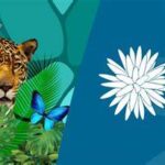 BNDES lança compromissos com a biodiversidade na COP16, em Cali BNDES lança compromissos com a biodiversidade na COP16, em Cali