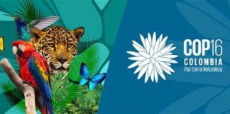 BNDES lança compromissos com a biodiversidade na COP16, em Cali