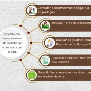 Brasil precisa reforçar proteção de florestas para atingir metas de mitigação de mudanças climáticas Resumo gráfico