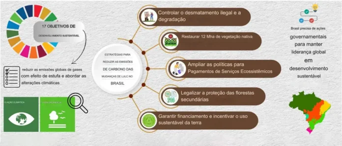 Resumo gráfico (Traduzido) Resumo gráfico