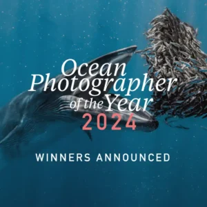 Concurso Fotógrafo Oceânico do Ano de 2024